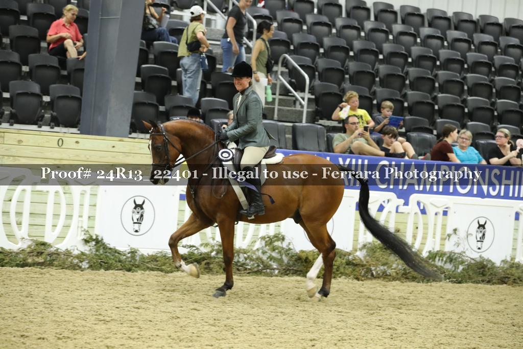 Proof 24R13_22401