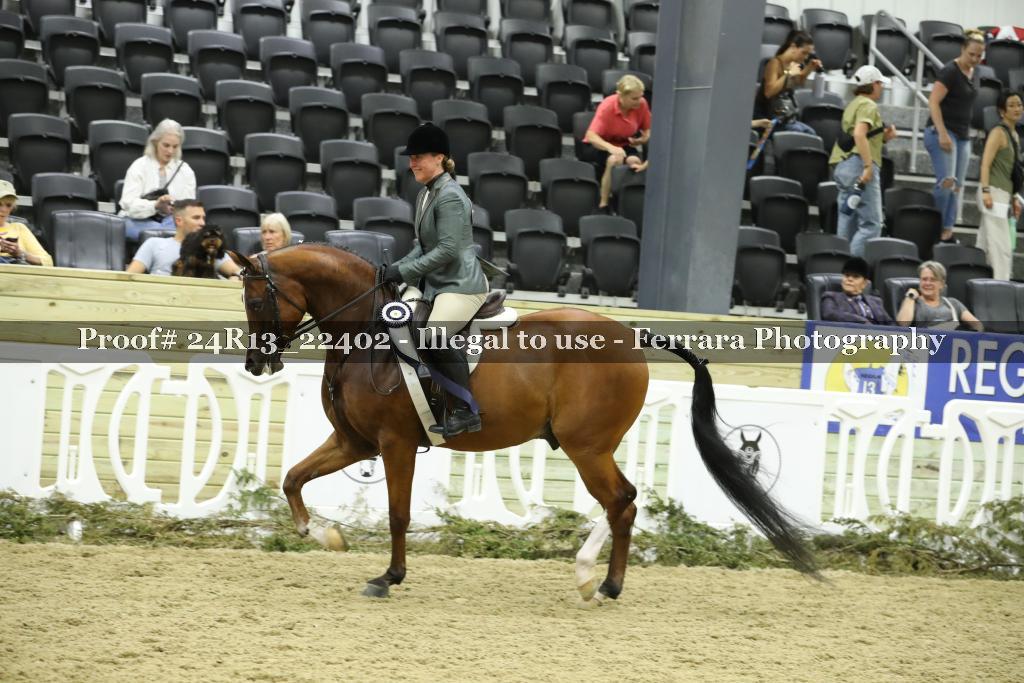 Proof 24R13_22402