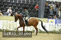 24R13_22402 proof