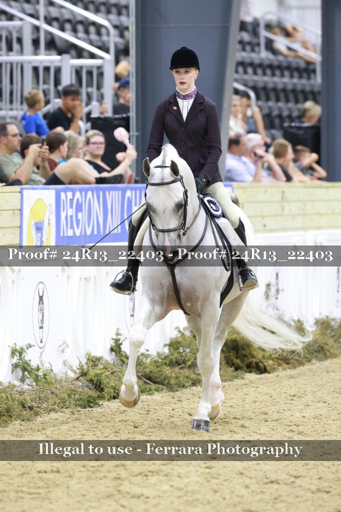 Proof 24R13_22403