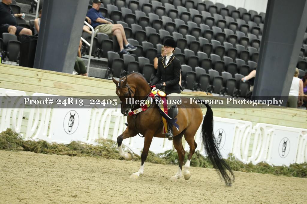 Proof 24R13_22405