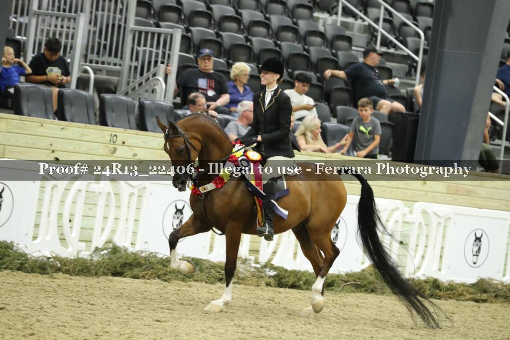 Proof 24R13_22406
