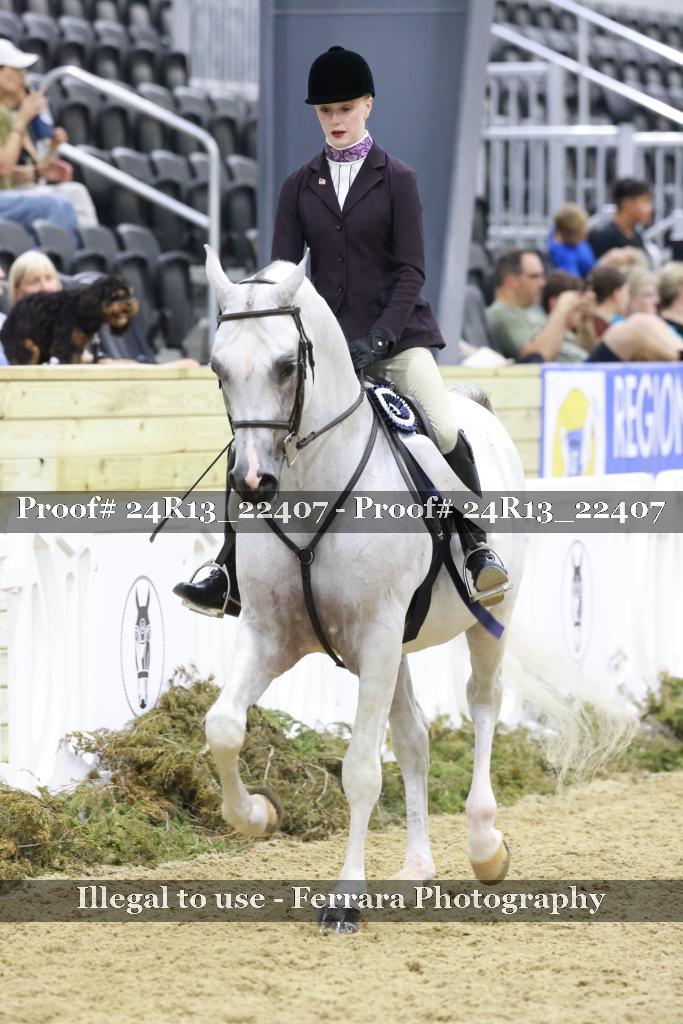 Proof 24R13_22407