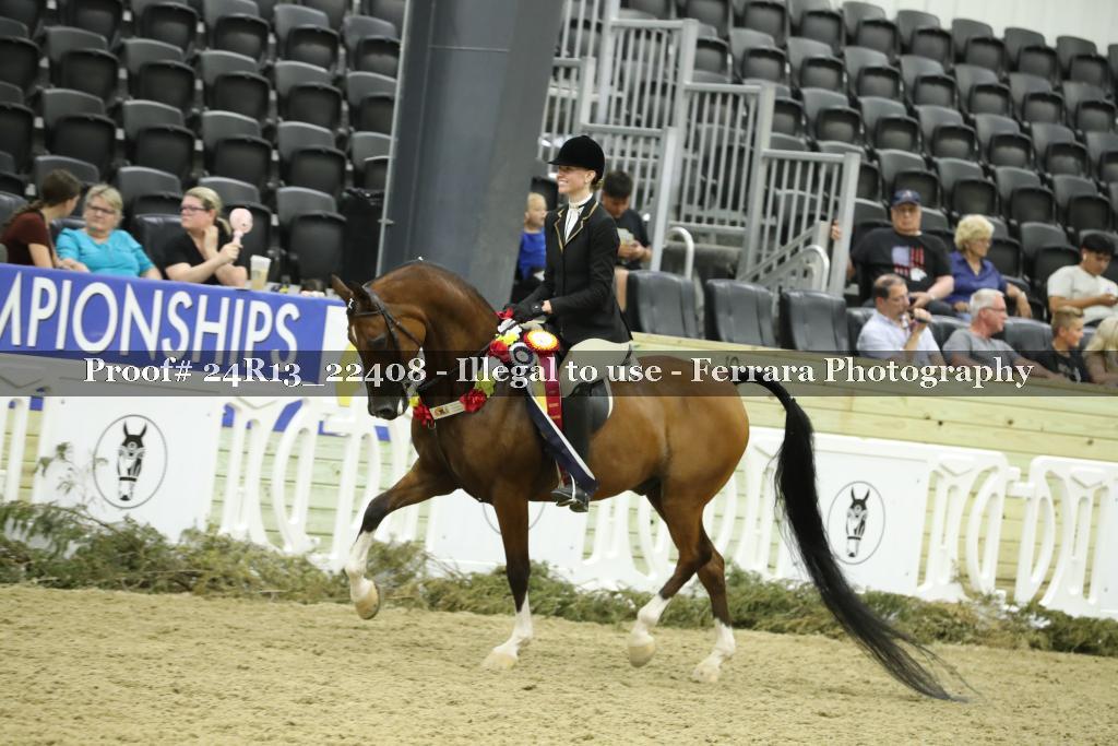 Proof 24R13_22408