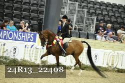 24R13_22408 proof