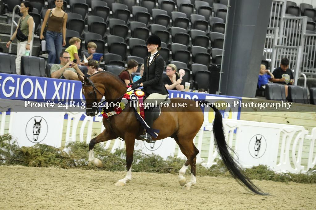 Proof 24R13_22409