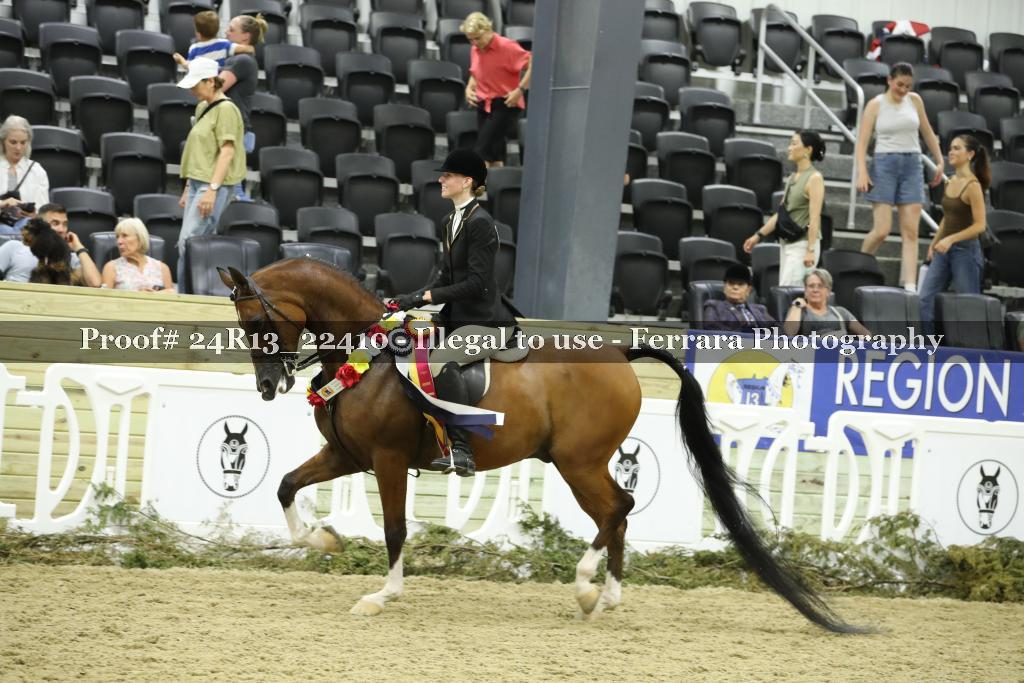 Proof 24R13_22410