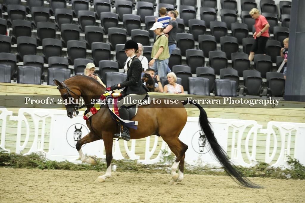 Proof 24R13_22411