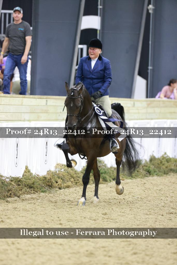 Proof 24R13_22412