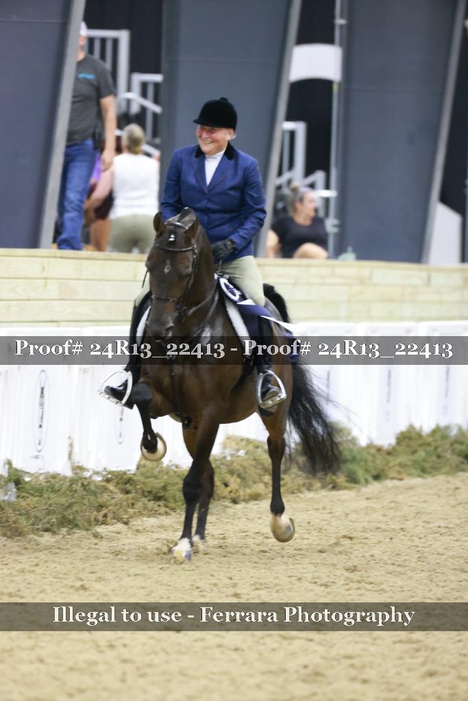 Proof 24R13_22413