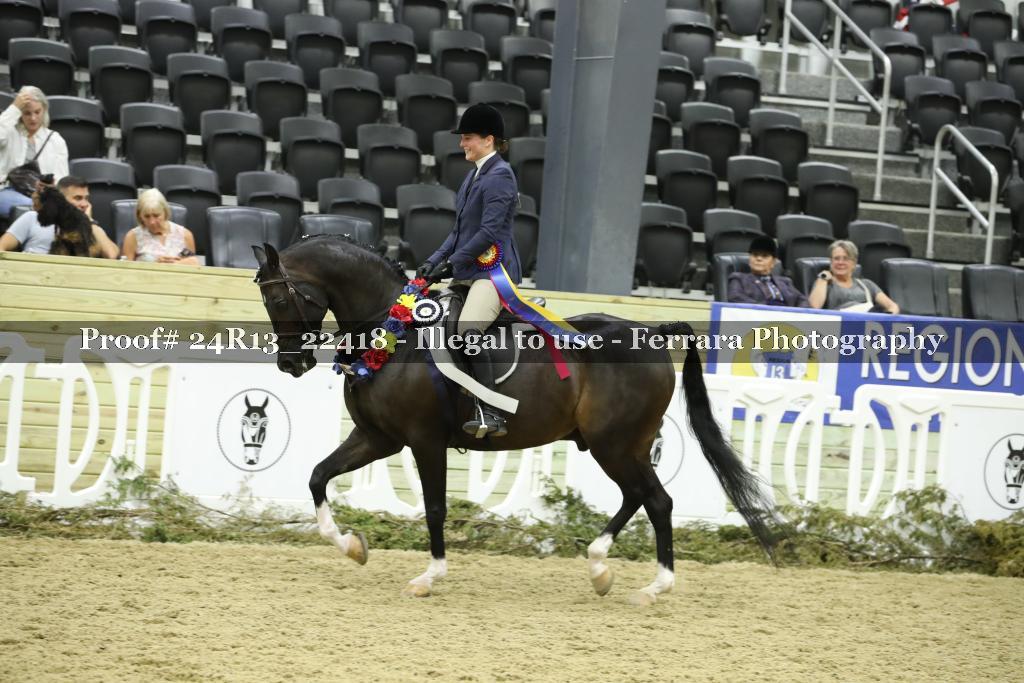 Proof 24R13_22418