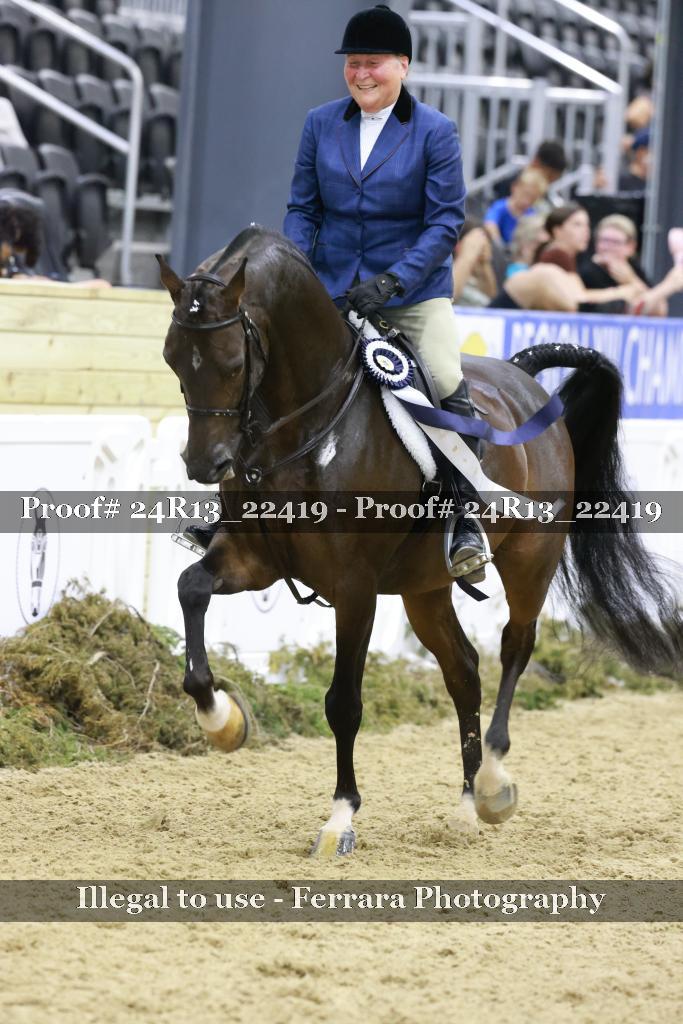 Proof 24R13_22419