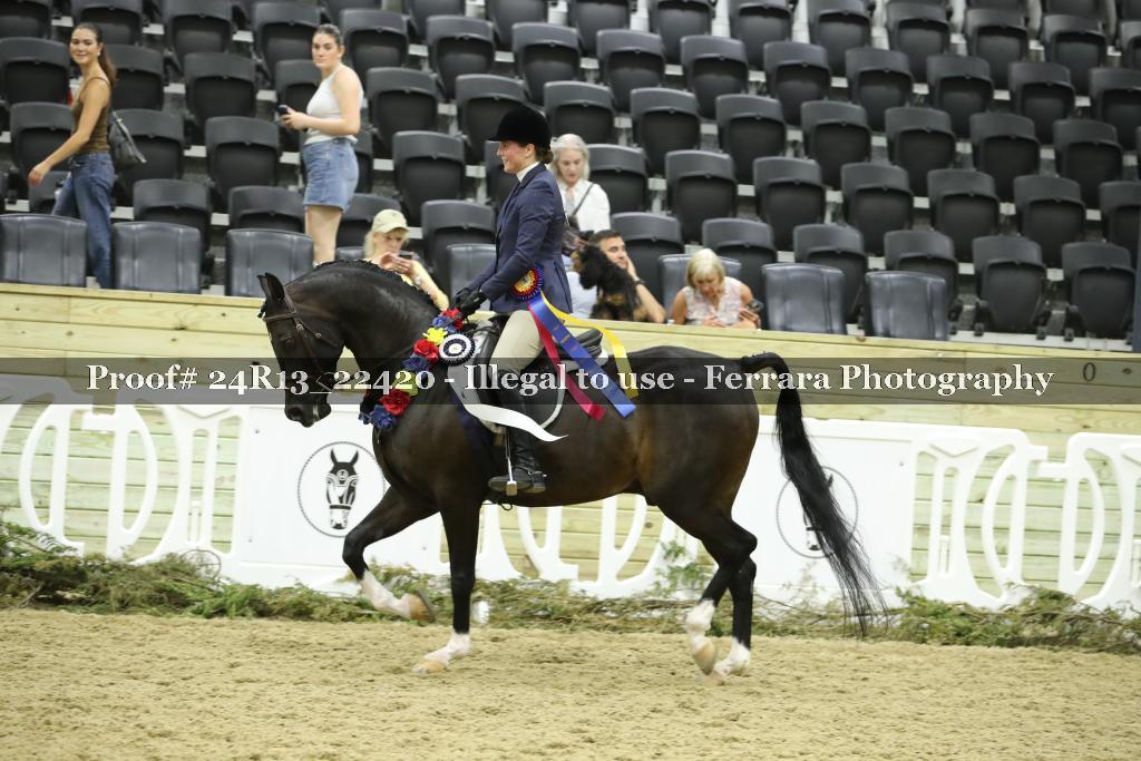 Proof 24R13_22420