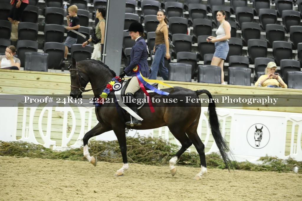Proof 24R13_22421