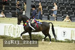 24R13_22421 proof