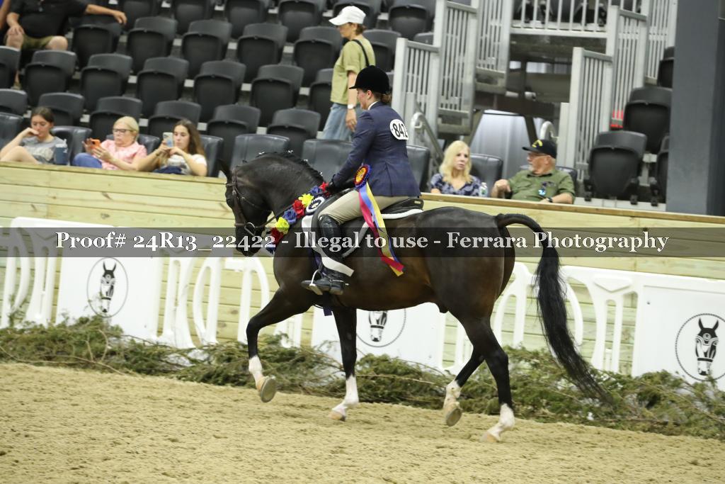 Proof 24R13_22422