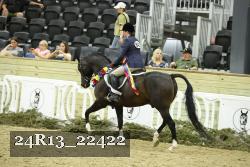 24R13_22422 proof