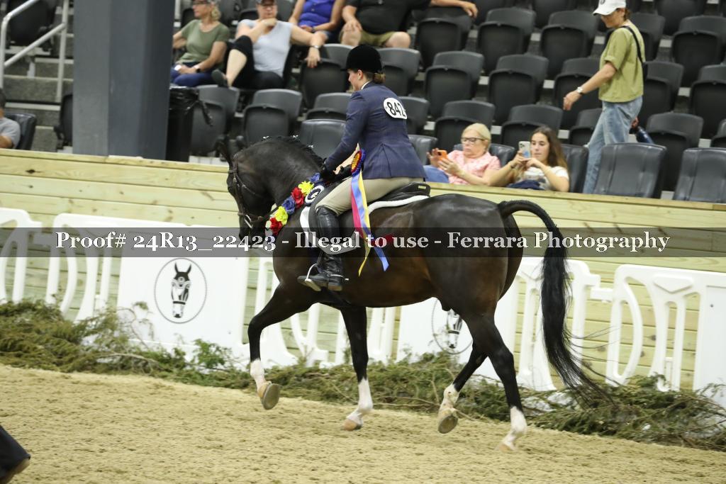 Proof 24R13_22423