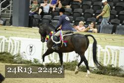 24R13_22423 proof