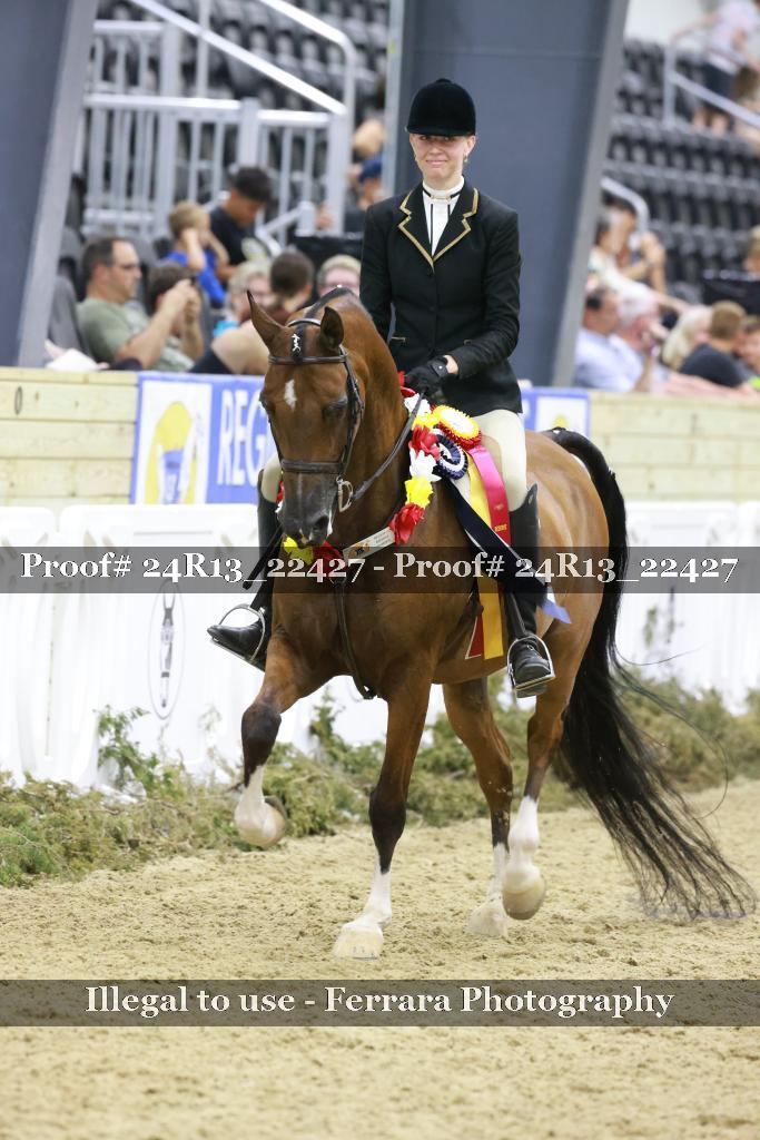 Proof 24R13_22427
