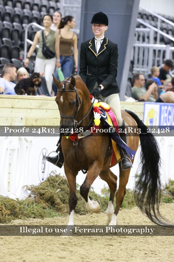 Proof 24R13_22428