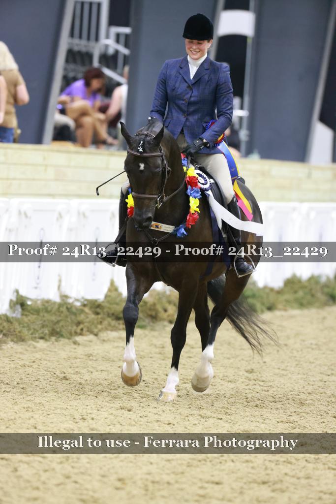 Proof 24R13_22429