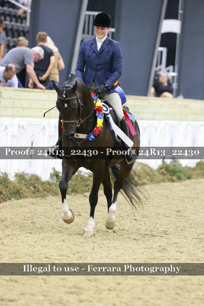 Proof 24R13_22430
