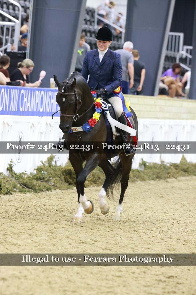 Proof 24R13_22431