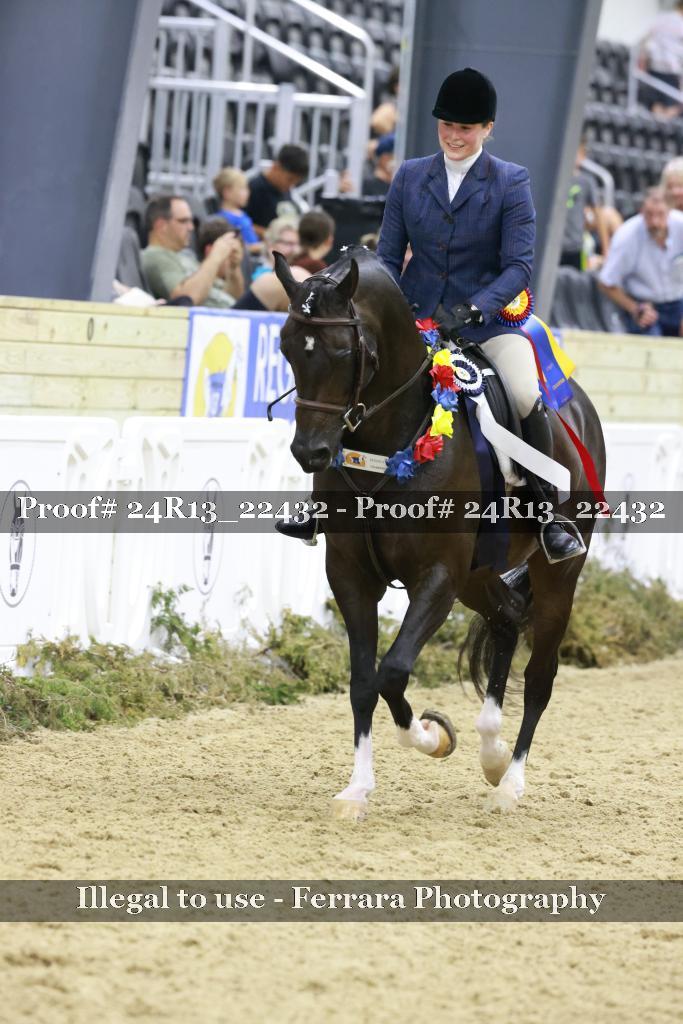 Proof 24R13_22432