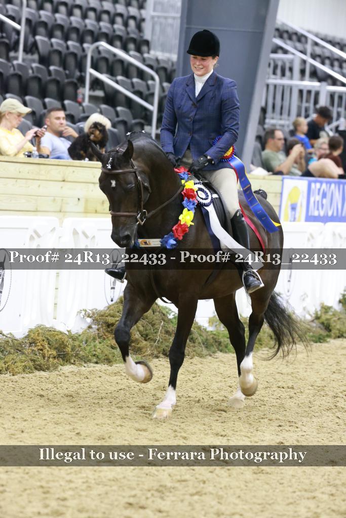 Proof 24R13_22433