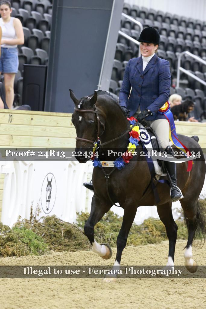 Proof 24R13_22434