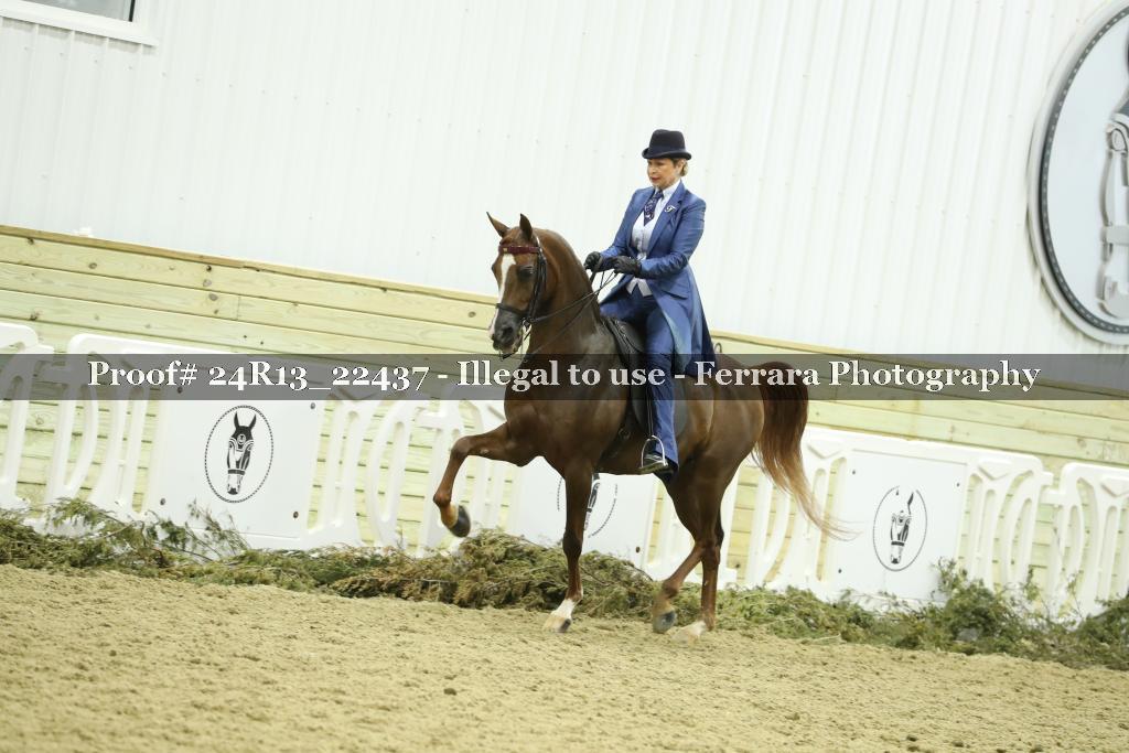 Proof 24R13_22437
