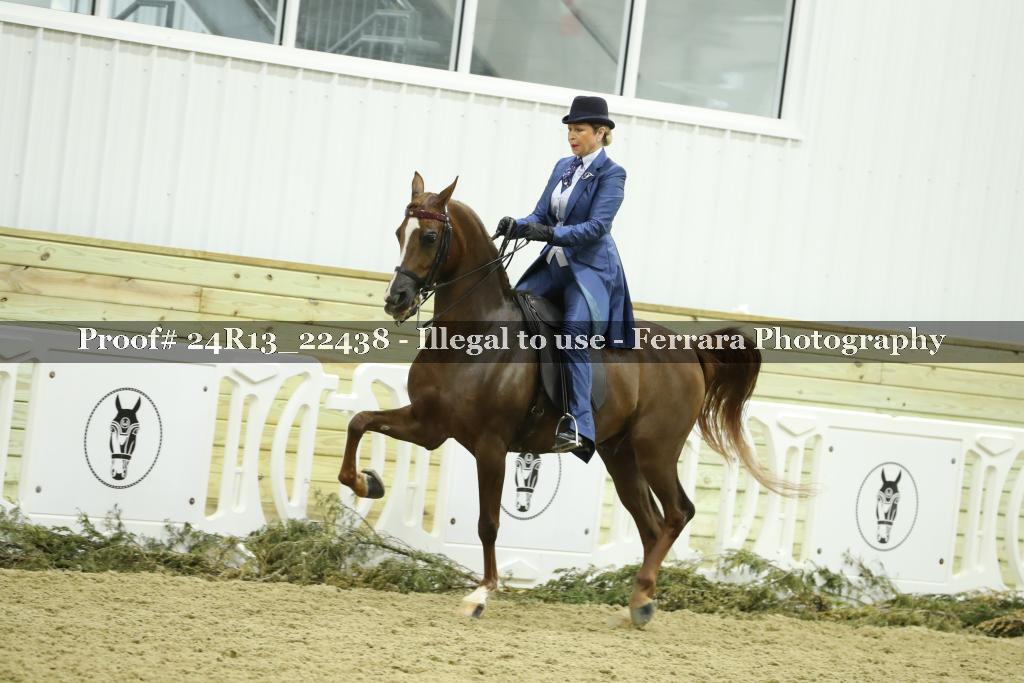 Proof 24R13_22438