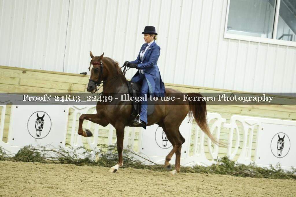 Proof 24R13_22439