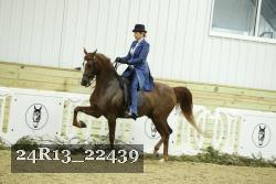 24R13_22439 proof
