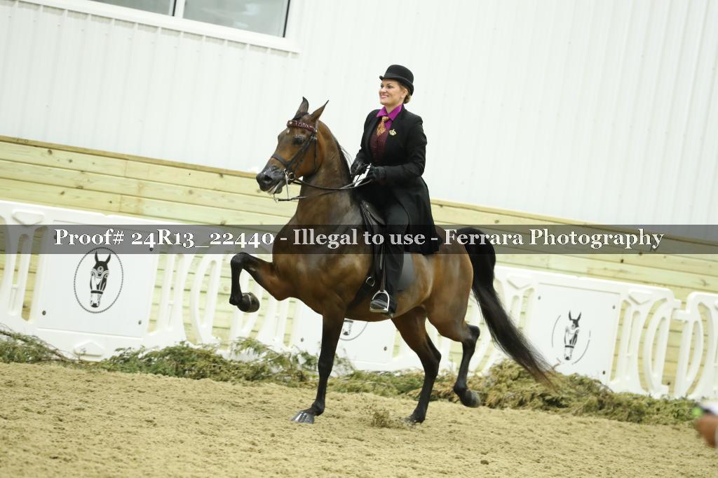 Proof 24R13_22440