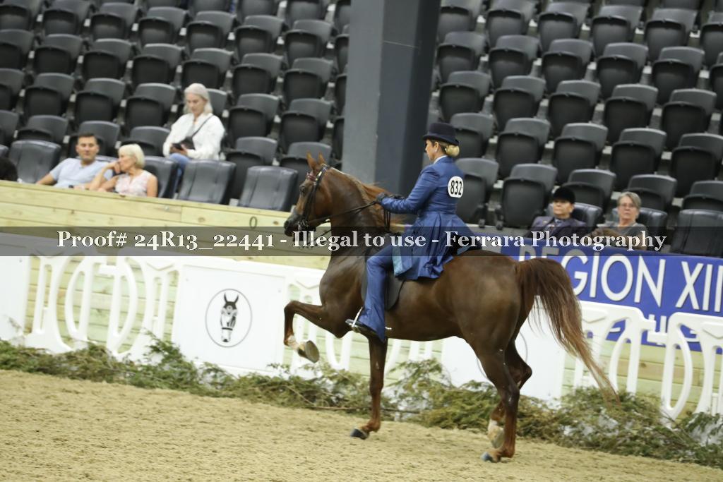 Proof 24R13_22441