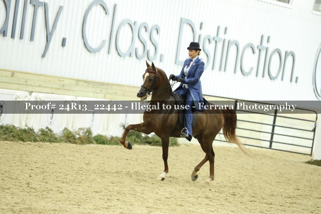 Proof 24R13_22442