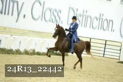 24R13_22442 proof