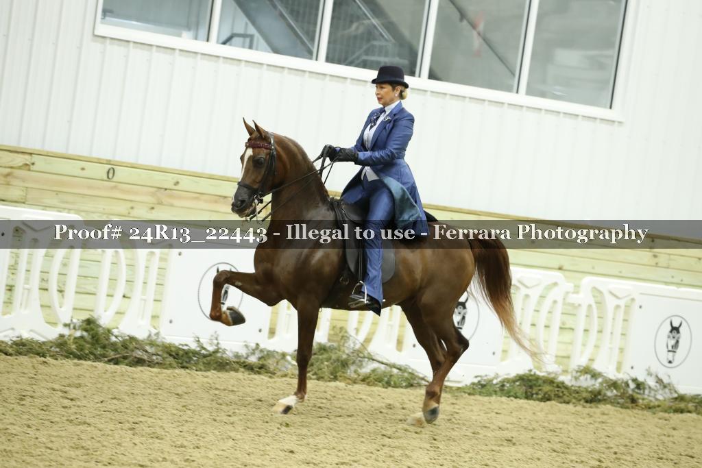Proof 24R13_22443