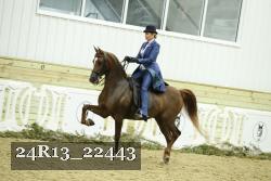24R13_22443 proof