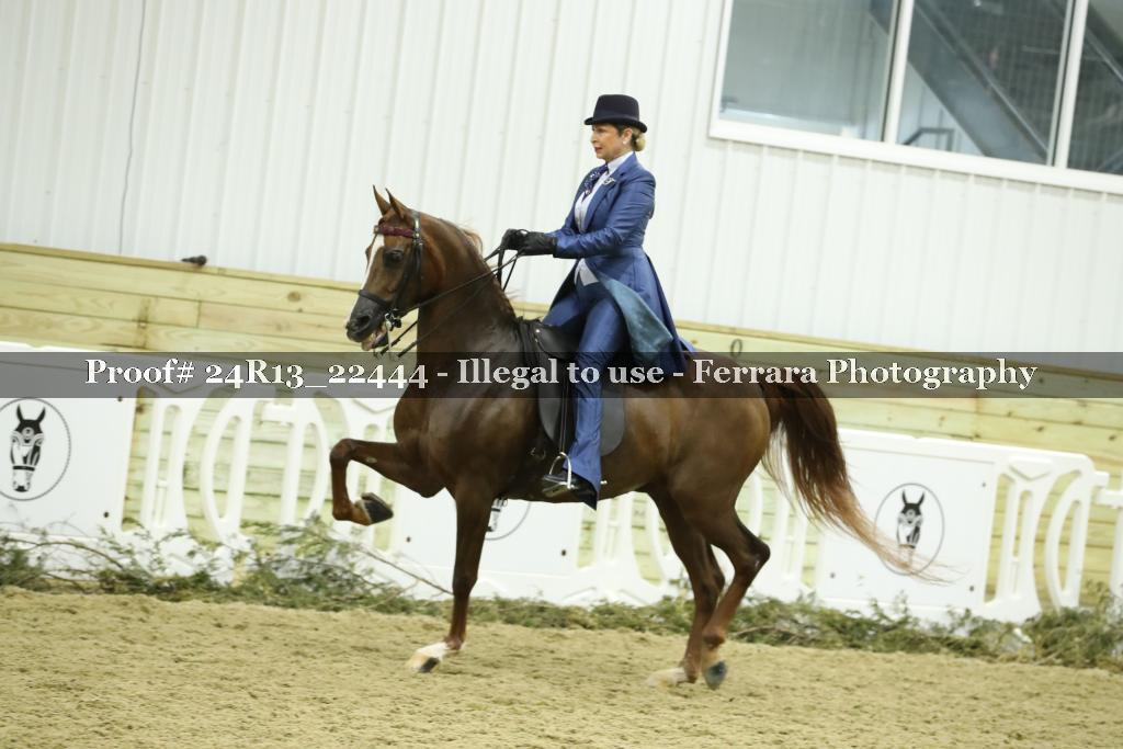 Proof 24R13_22444