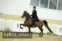 24R13_22445 proof