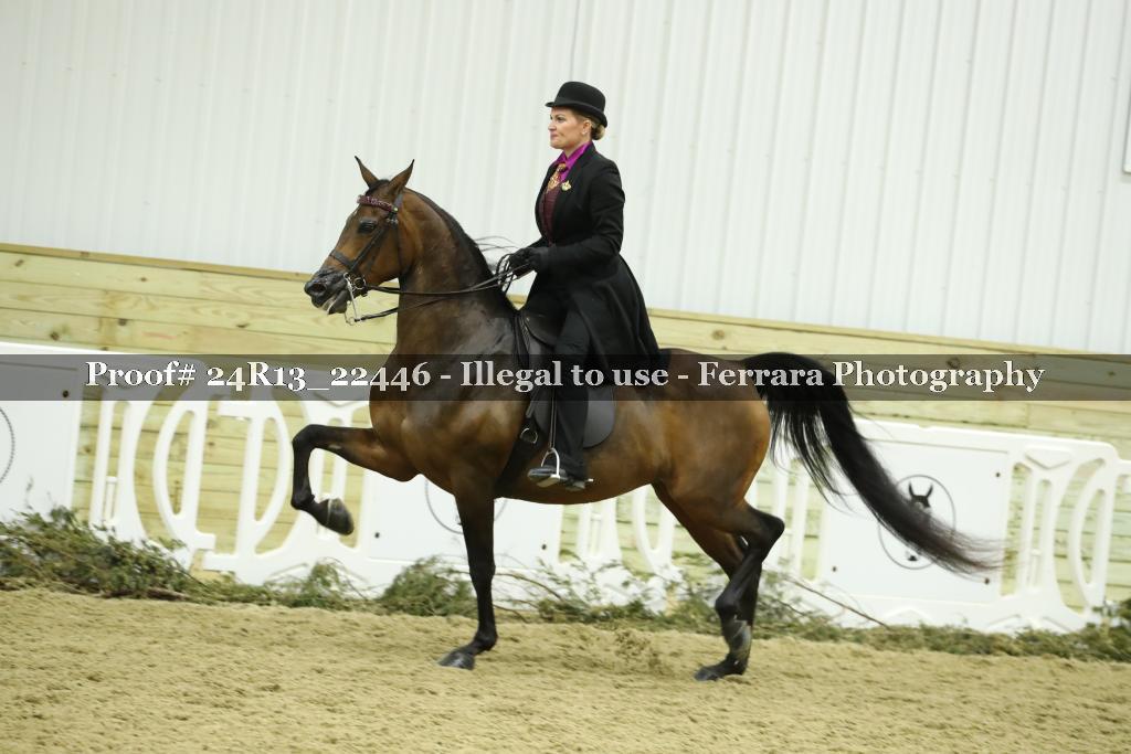 Proof 24R13_22446