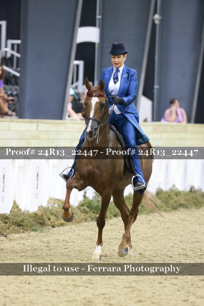 Proof 24R13_22447