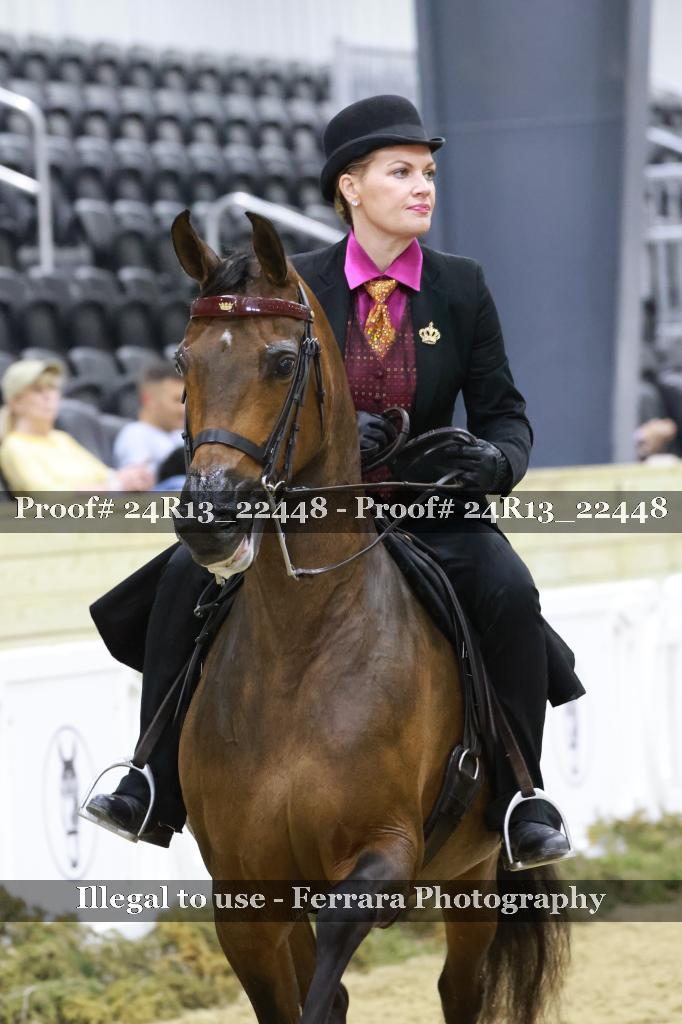 Proof 24R13_22448