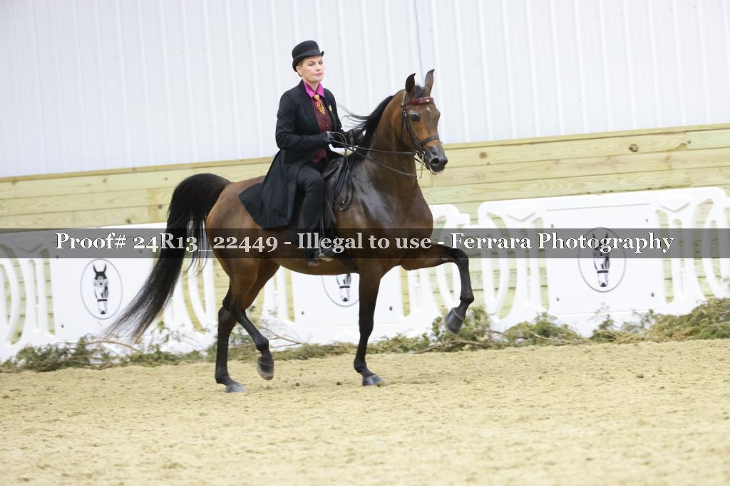 Proof 24R13_22449