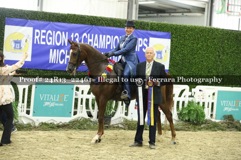 Proof 24R13_22461