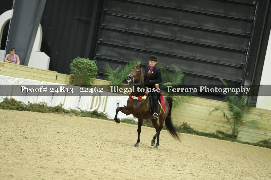 Proof 24R13_22462