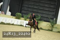 24R13_22462 proof